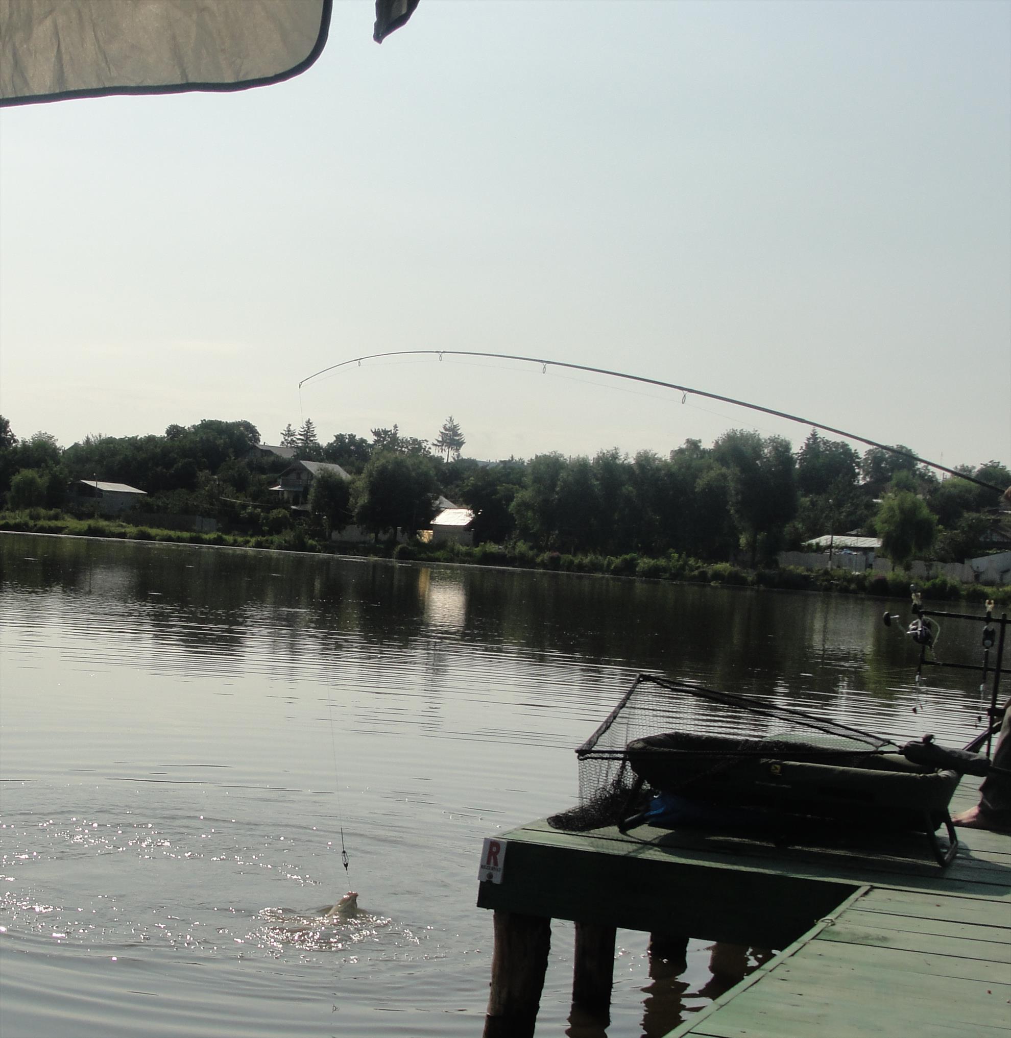 Povestea unui drill - dsc00869.JPG